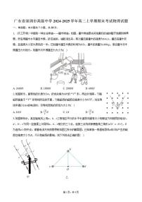 2024-2025学年广东省深圳市高级中学高二上学期期末考试物理试题（含答案）