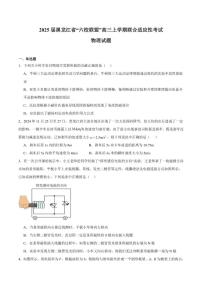 黑龙江省“六校联盟”2025届高三上学期联合适应性测试物理（含答案）