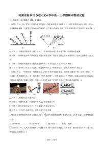 2025-2026学年河南省新乡市高一上学期期末物理试卷（含答案）