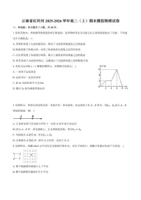 2025-2026学年云南省红河州高二（上）期末模拟物理试卷（含答案）