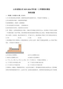 2025-2026学年山东省烟台市高一上学期期末模拟物理试题（含答案）