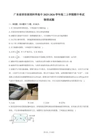 2025-2026学年广东省圳市深圳科学高中高二上学期期中考试物理试卷（含答案）