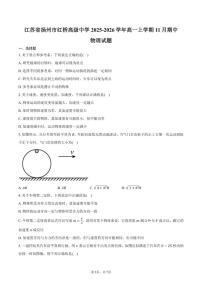 2025-2026学年江苏省扬州市广陵区红桥高级中学高一上学期11月期中物理试卷（含答案）