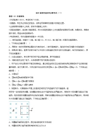 2025届云南玉溪第一中学高考适应性诊断考试（一）物理试题含答案