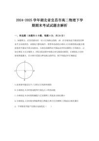 2024-2025学年湖北省宜昌市高二物理下学期期末考试试题（含解析）