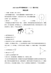 2025-2026学年湖南省高二（上）期末物理试卷（含答案）