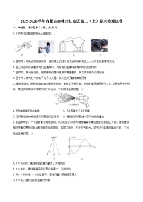 2025-2026学年内蒙古赤峰市红山区高二（上）期末物理试卷（含答案）