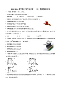 2025-2026学年四川省内江市高一（上）期末物理试卷（含答案）