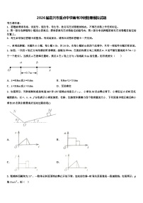 2026届嘉兴市重点中学高考冲刺物理模拟试题含解析