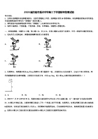2026届济南市重点中学高三下学期联考物理试题含解析