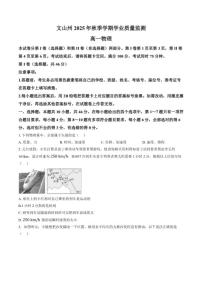 2025-2026学年云南省文山壮族苗族自治州高一上学期1月期末物理试题（含答案）