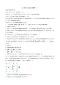 2025届云南玉溪第一中学高考适应性诊断考试（一）物理试题（含答案）