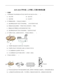 2025-2026学年四川省泸州市合江县马街中学校高二上学期1月期末物理试卷（含答案）