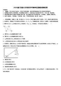2026届江苏省大丰市新丰中学高考仿真模拟物理试卷含解析