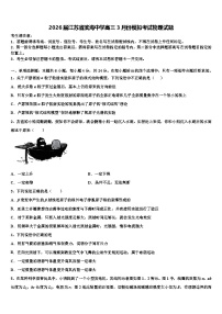 2026届江苏省滨海中学高三3月份模拟考试物理试题含解析