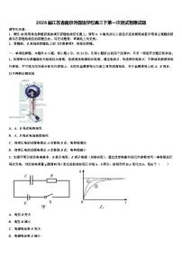 2026届江苏省南京外国语学校高三下第一次测试物理试题含解析