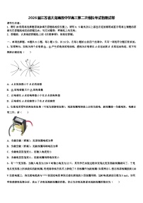 2026届江苏省太湖高级中学高三第二次模拟考试物理试卷含解析