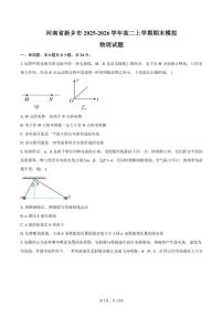 2025-2026学年河南省新乡市高二上学期期末模拟物理试题（含答案）