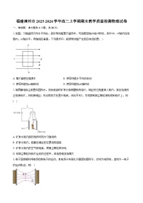 福建漳州市2025-2026学年高二上学期期末教学质量检测物理试卷（含答案）