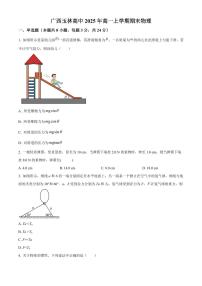 广西玉林高级中学2025-2026学年高一上学期期末物理试题（试卷+解析）