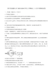2025-2026学年四川省成都七中上学期高三1月月考物理试卷（含答案）