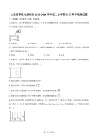 2025-2026学年山东省枣庄市滕州市高二上学期11月期中物理试卷（含答案）