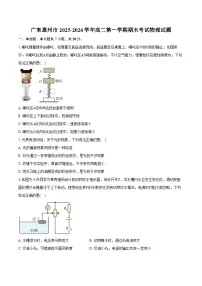广东惠州市2025-2026学年高二第一学期期末考试物理试卷（含答案）