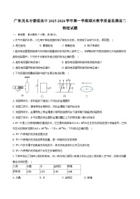广东茂名市普通高中2025-2026学年第一学期期末教学质量监测高二物理试卷（含答案）