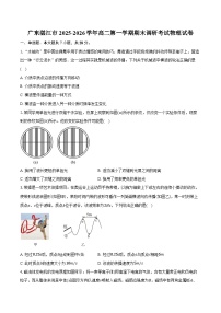 广东湛江市2025-2026学年高二第一学期期末调研考试物理试卷（含答案）
