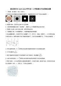湖北荆州市2025-2026学年高二上学期期末考试物理试卷（含答案）
