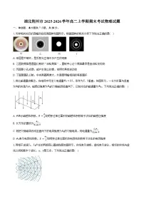 湖北荆州市2025-2026学年高二上学期期末考试物理试卷（含答案）