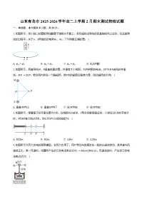 山东青岛市2025-2026学年高二上学期2月期末测试物理试卷（含答案）