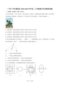广东广州市番禺区2025-2026学年高二上学期期末考试物理试卷（含答案）