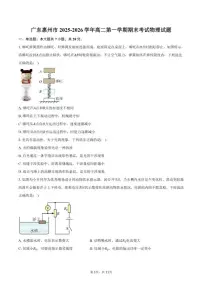 2025-2026学年广东惠州市高二第一学期期末考试物理试卷（含答案）
