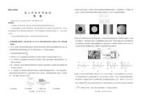 2026届广东省湛江市高三下学期2月开学检测物理试卷（含解析）