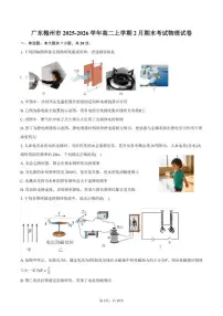 2025-2026学年广东省梅州市高二上学期2月期末考试物理试卷（含答案）