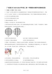 2025-2026学年广东省湛江市高二第一学期期末调研考试物理试卷（含答案）