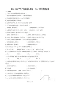 2025-2026学年广东省汕头市高一（上）期末物理试卷（含答案）