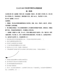 2025-2026学年云南省文山壮族苗族自治州高二上学期期末物理试题（含答案）