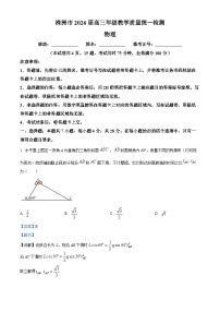 湖南省株洲市2026届高三上学期一模物理试卷（Word版附解析）