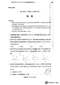 2025届河南省新乡市高三下学期三模考试物理试题（PDF版，含答案）