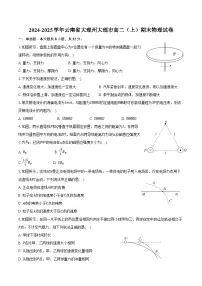 2024-2025学年云南省大理州大理市高二（上）期末物理试卷（含答案）