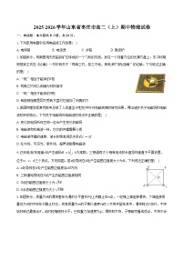 2025-2026学年山东省枣庄市高二（上）期中物理试卷（含解析）