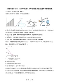 云南大理市2025-2026学年高二上学期教学质量监测考试物理试卷（含答案）
