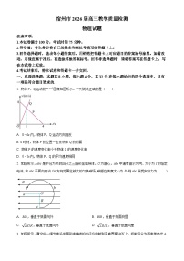 2026届安徽宿州市2025-2026学年高三上学期教学质量检测物理试卷（试卷+解析）高考模拟