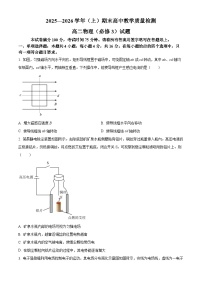 福建漳州市2025-2026学年高二上学期期末教学质量检测物理试卷（试卷+解析）