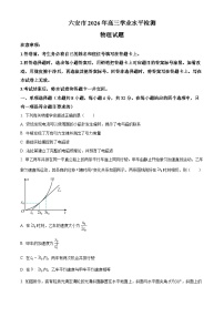 安徽六安市2025-2026学年高三上学期期末物理试题（试卷+解析）