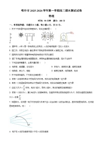 新疆喀什地区喀什市2025-2026学年高二上学期期末测试物理试卷（试卷+解析）