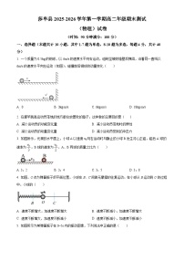 新疆喀什地区莎车县2025-2026学年高二上学期期末物理试卷（试卷+解析）