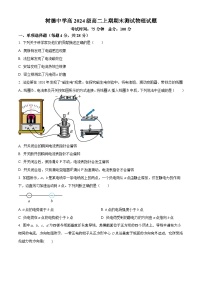 四川省成都市树德中学2025-2026学年高二上学期期末考试物理试卷（Word版附解析）